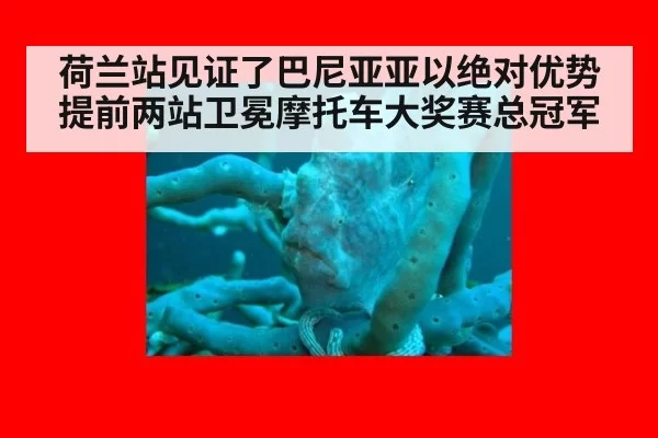 荷兰站见证了巴尼亚亚以绝对优势提前两站卫冕摩托车大奖赛总冠军
